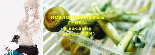 меф Арсеньев